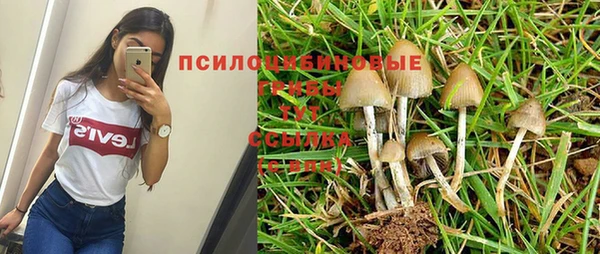 прущие крисы Абаза