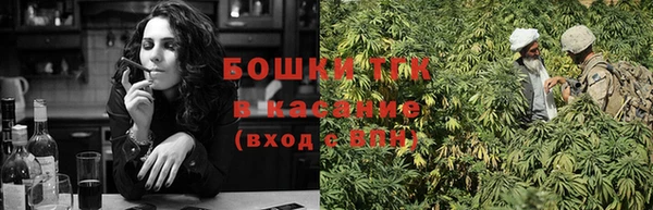 прущие крисы Абаза