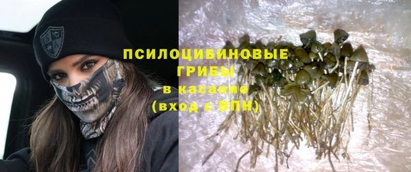 a pvp Слюдянка