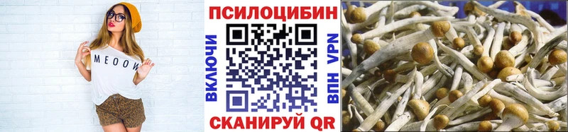 mega зеркало  Ефремов  Галлюциногенные грибы мицелий 