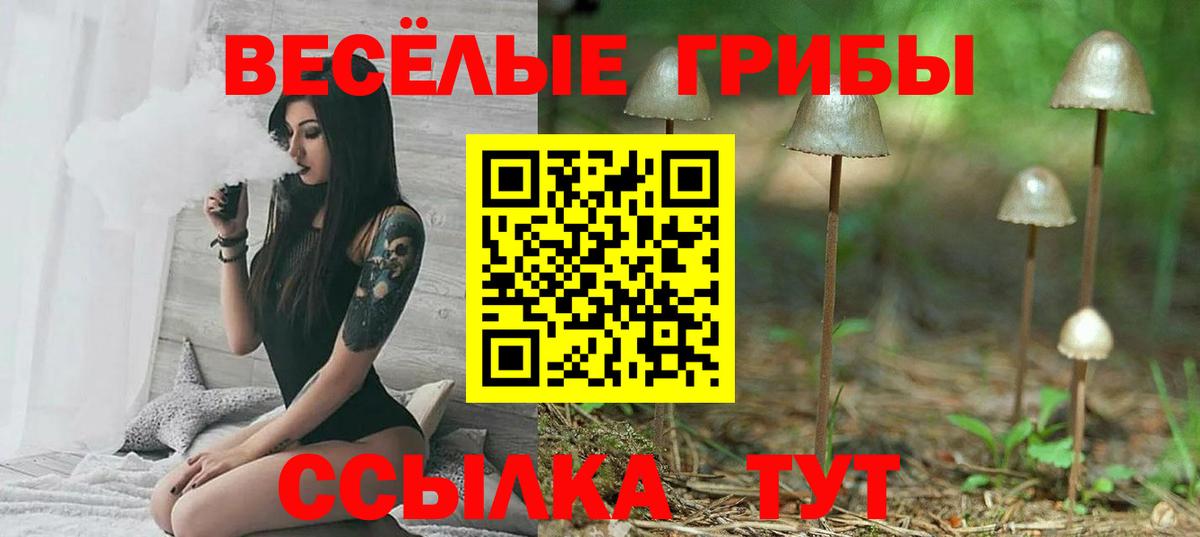 Галлюциногенные грибы Psilocybine cubensis Ефремов