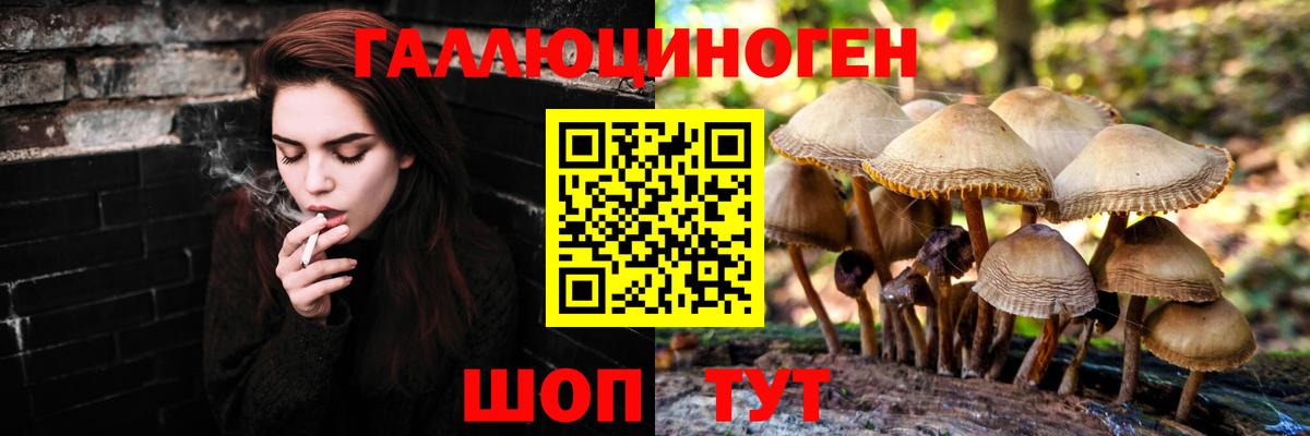 Псилоцибиновые грибы GOLDEN TEACHER  Псилоцибиновые грибы Cubensis  Ефремов  Вход с VPN 